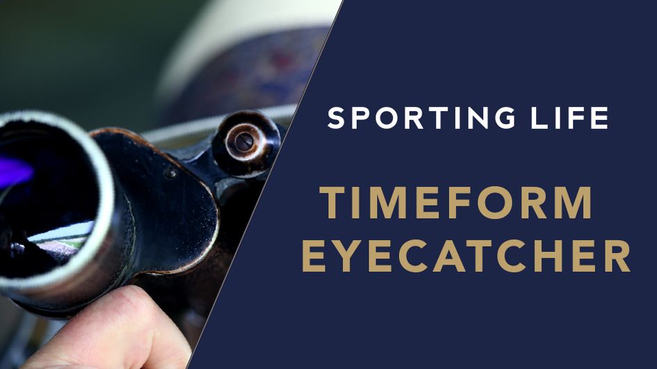 Check out the latest Timeform horse to add to your My Stable tracker