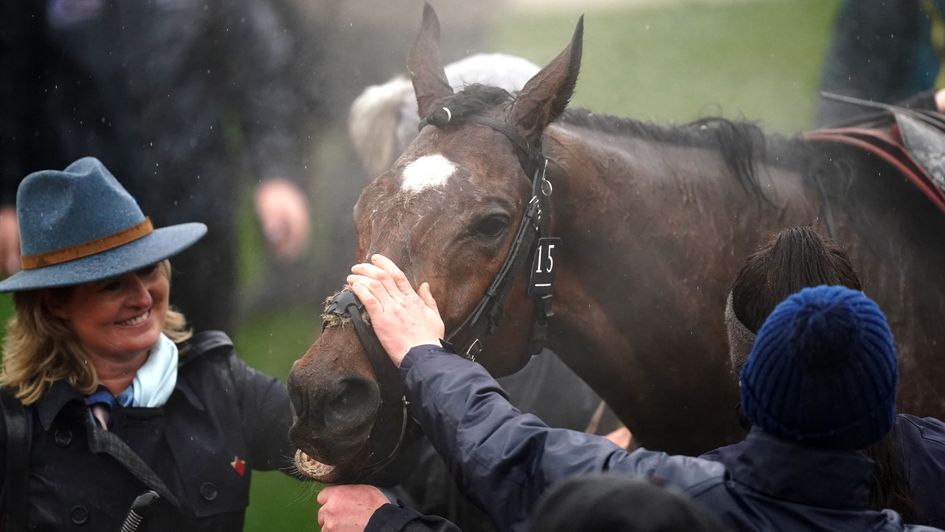 Adoration for Tiger Roll after his final race