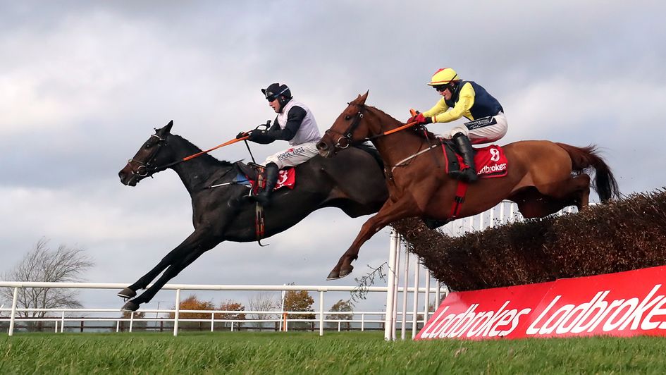 The Storyteller (near side) jumps alongside Chris's Dream