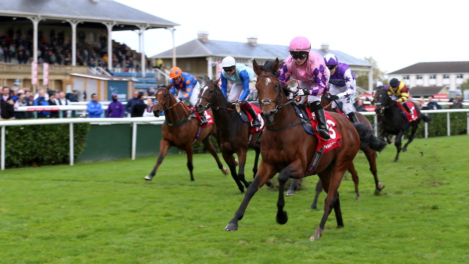 Farhan wins the November Handicap