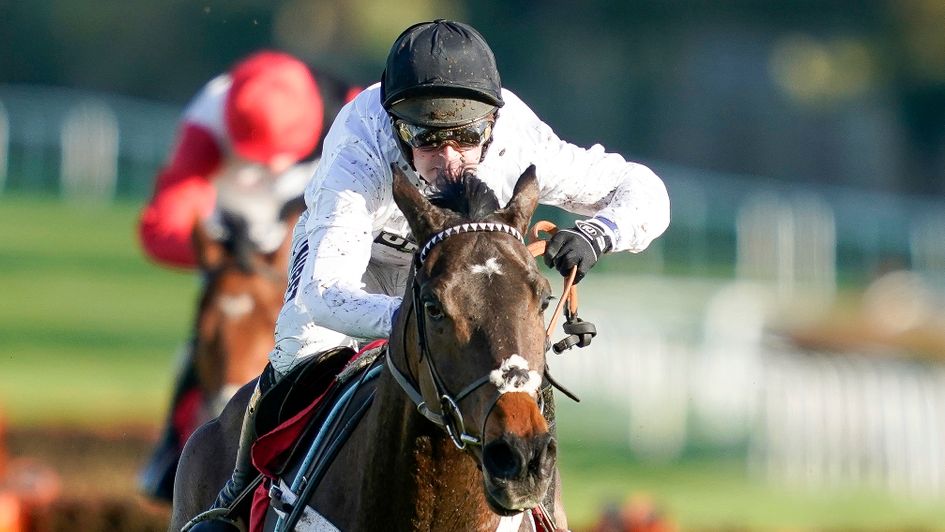 A sparkling debut from Constitution Hill