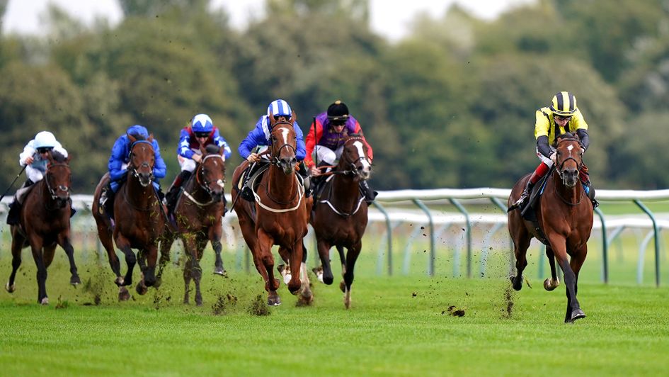 Eldar Eldarov is clear of his rivals at Nottingham