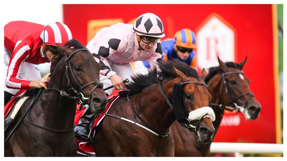 Hotazhell (noseband) wins the Irish Champion