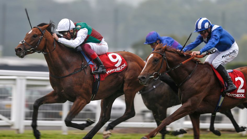 Gabr (right) got close to Without Parole at Sandown