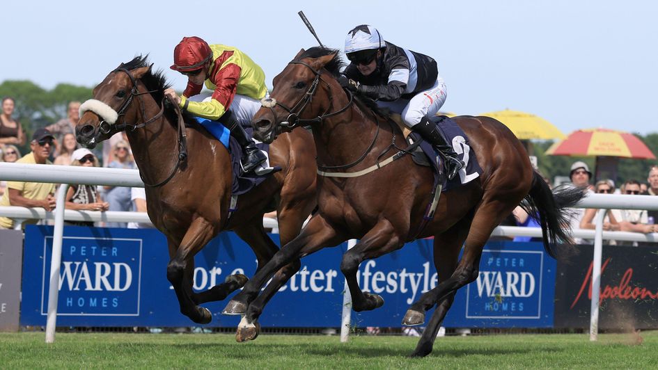 Matteo holds off Ronson at Beverley