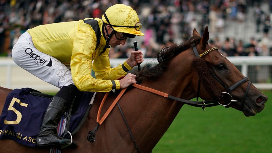 Addeybb wins the Wolferton - and a plan is hatched