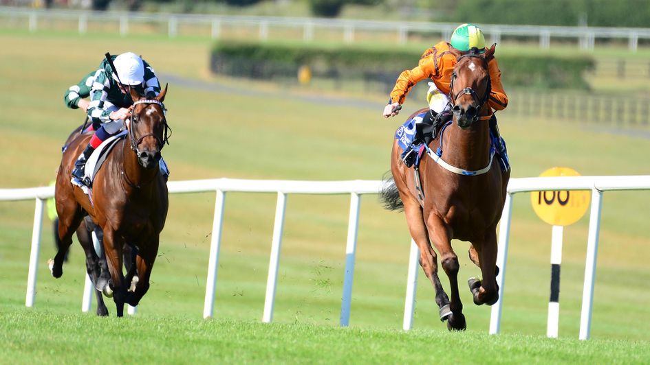 Sceptical scorches at Naas