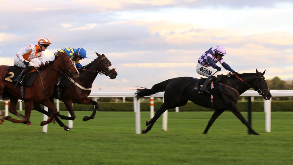 Credrojava wins the last at Aintree