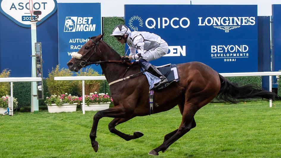 The tenacious Al Qareem lands the Cumberland Lodge
