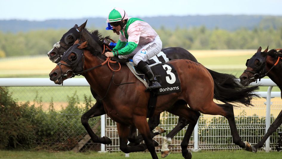 Duke Of Hazzard wins under P J McDonald