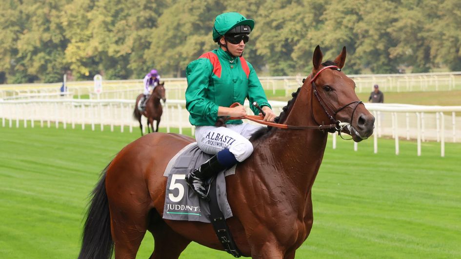 Daryz - ready to produce career best