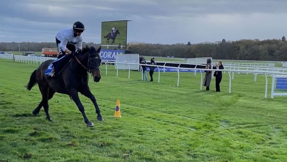 Constitution Hill pulls nicely clear in his racecourse gallop at Newbury
