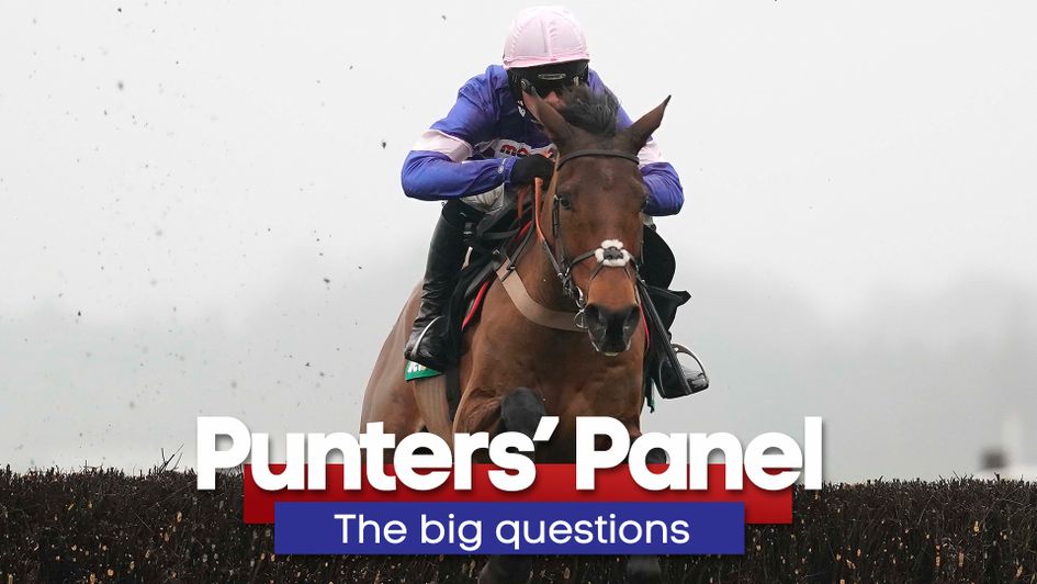 Find out what our panel of experts are expecting this weekend