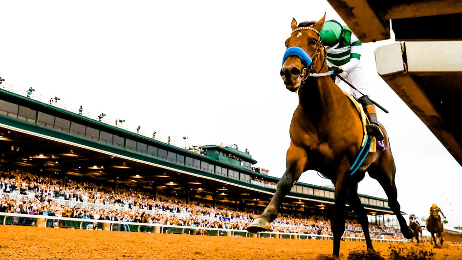 Flightline slams his rivals at Keeneland (image courtesy of Breeders' Cup)