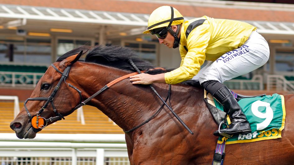 Nahaarr is not to be dismissed at Newmarket