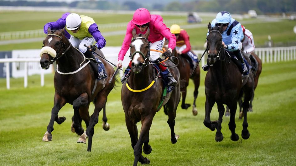 Layfayette wins at the Curragh