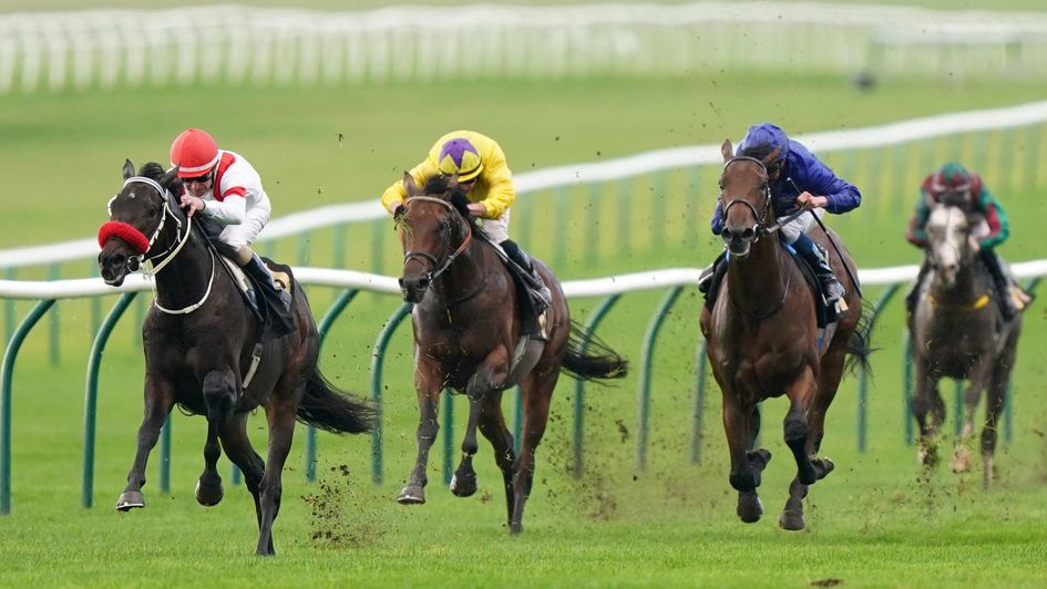 Claymore makes a winning debut at Newmarket