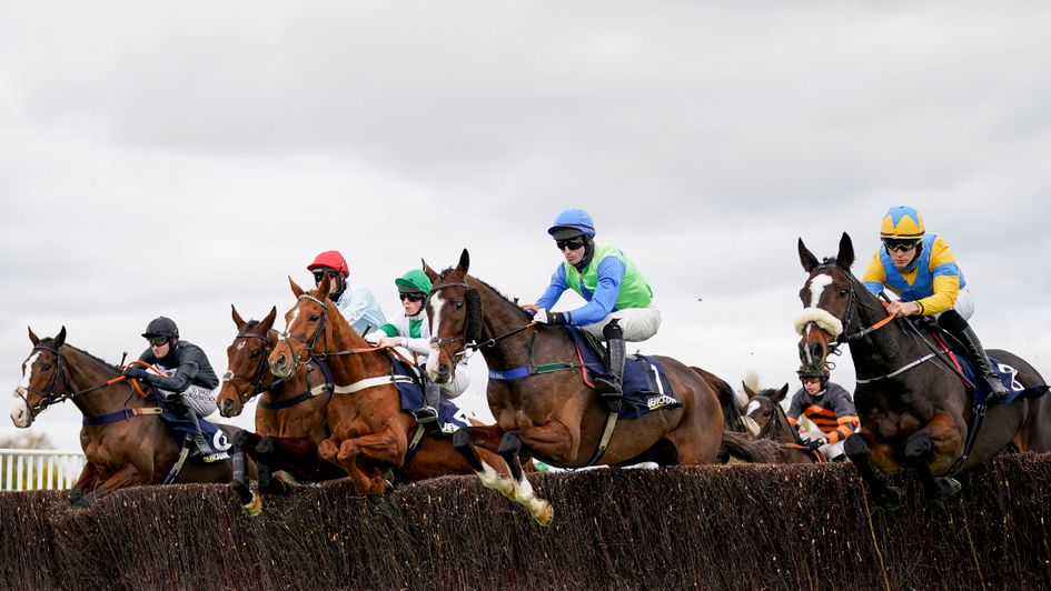 Horses fly over at fence at the Cheltenham November Meeting