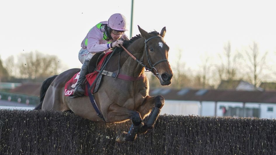 Royale Pagaille saunters to victory at Kempton