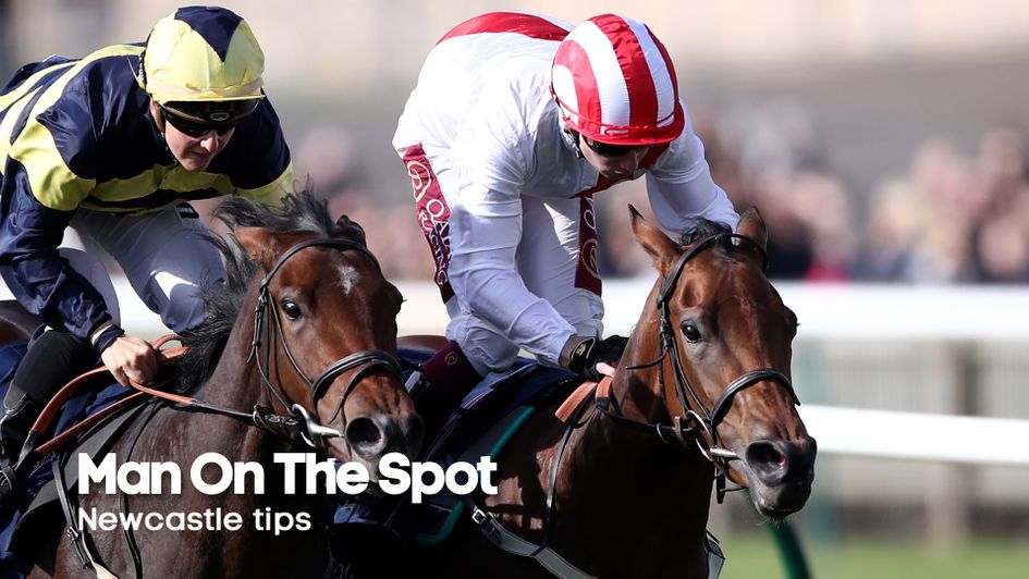 Mild Illusion (right) is fancied at Newcastle