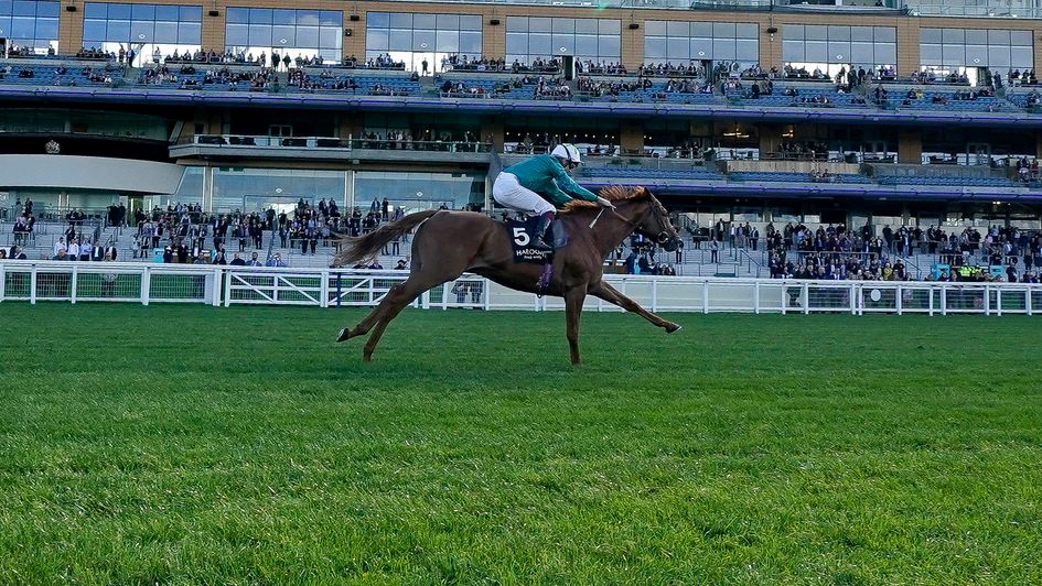 Scope returns to winning ways at Ascot
