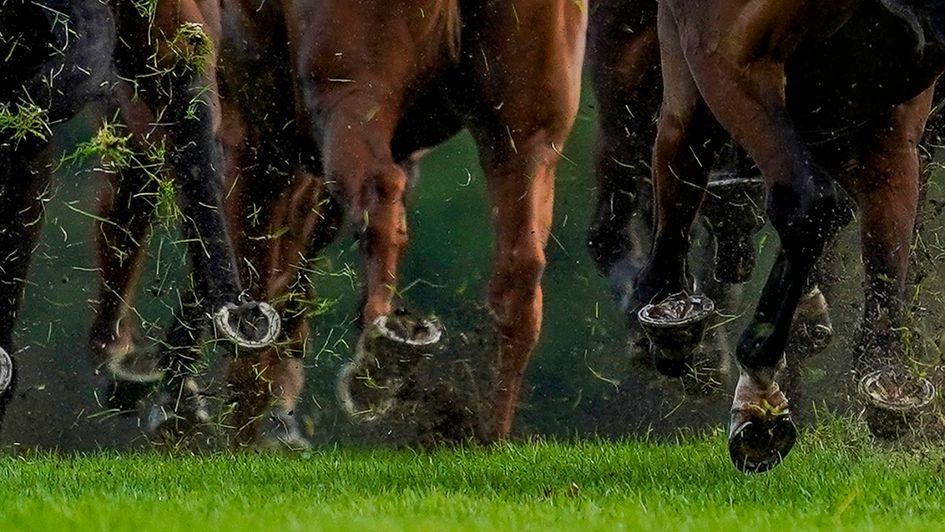 Timeform highlight a key piece of form