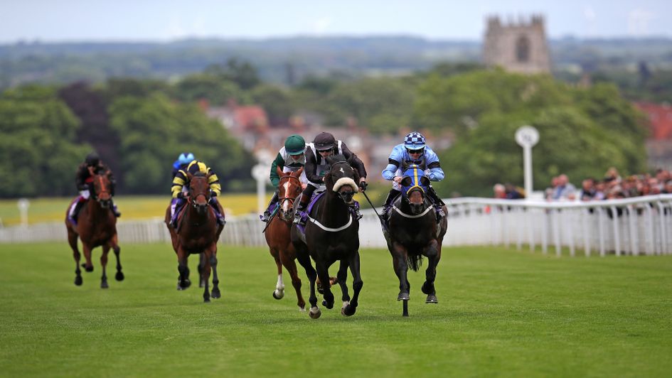 Don't miss Dave Ord's Saturday Lucky 15