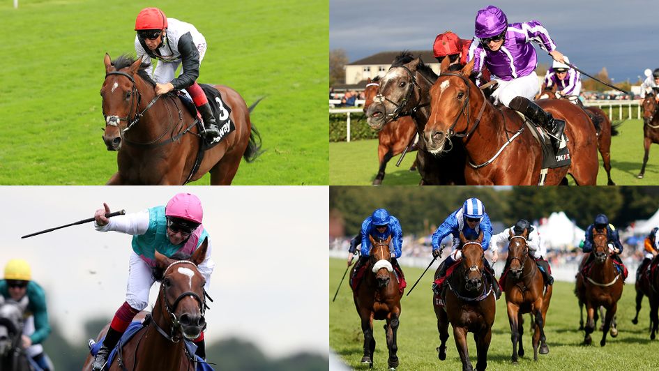 Cracksman, Saxon Warrior, Enable and Battaash - stars of 2017