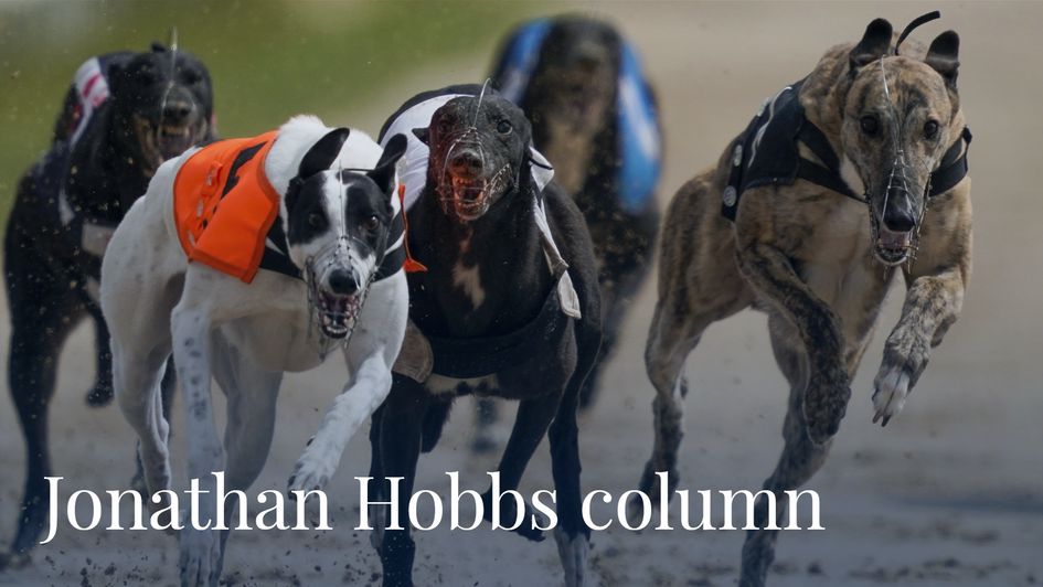 Jonathan Hobbs On Greyhounds Racing Bockos Doomie And Rpgtv