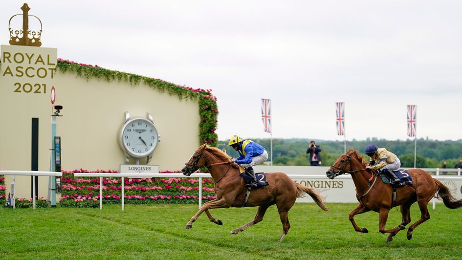 Could we be looking a red-hot edition of the July Cup this summer?