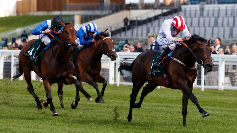 Invincible Army wins the Pavilion