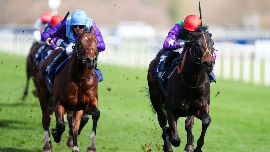 A Bear Affair has the measure of Dance A Jig