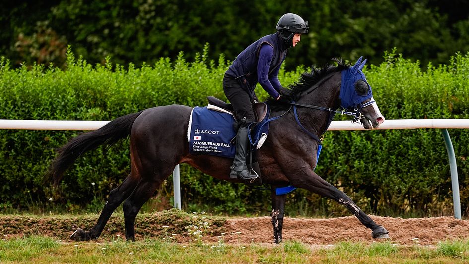 Masquerade Ball limbering up for Ascot (credit: Megan Rose Photography)