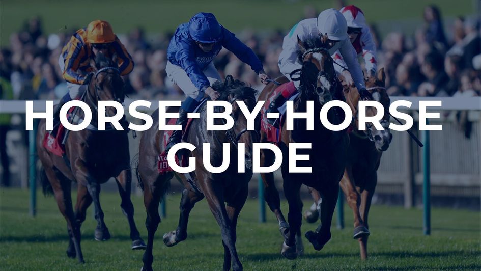 Scroll down to read our Vertem Futurity Trophy horse-by-horse guide