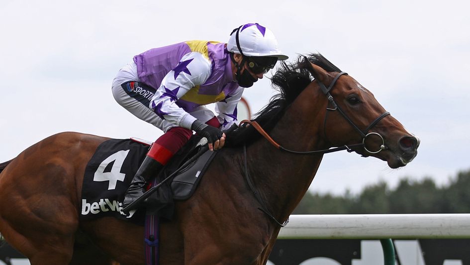 Kinross: Double-figure price for the Champions Sprint Stakes at Ascot