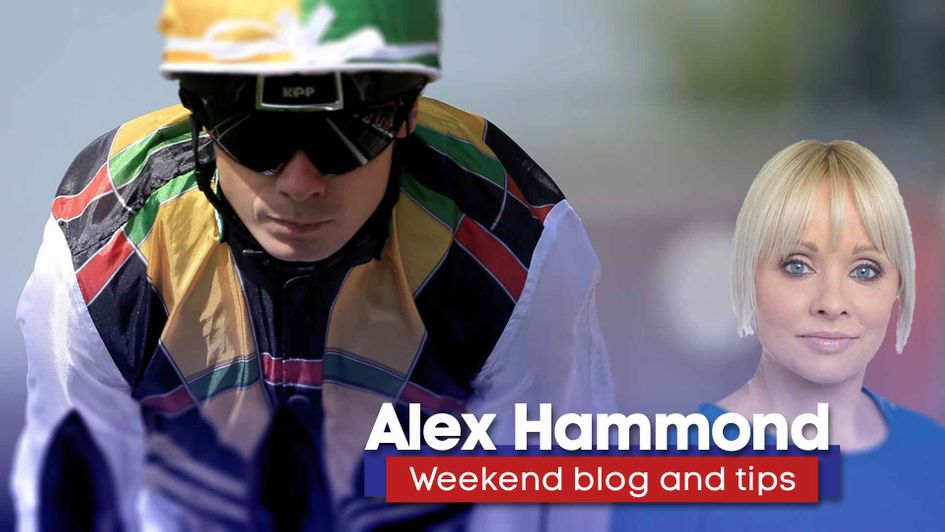 The famous dartboard silks of Withernsea Thoroughbred Limited