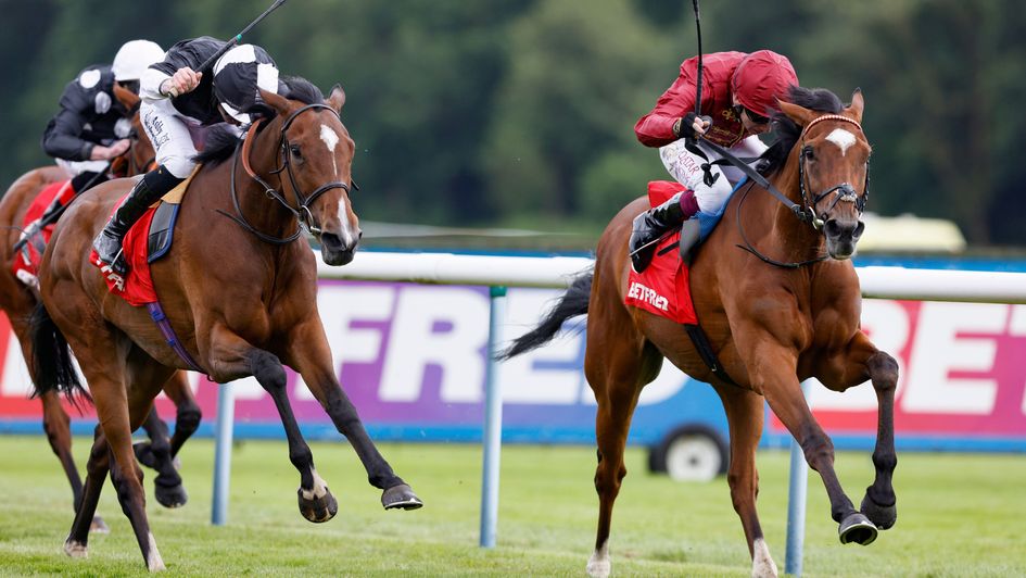 Queen Of The Pride wins at Haydock