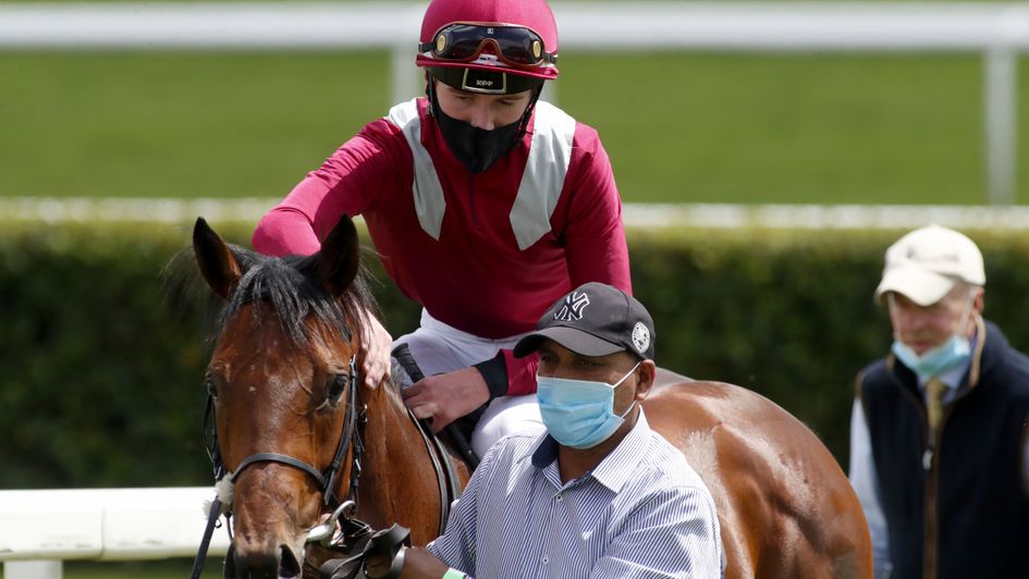 Seventh Kingdom - exciting juvenile