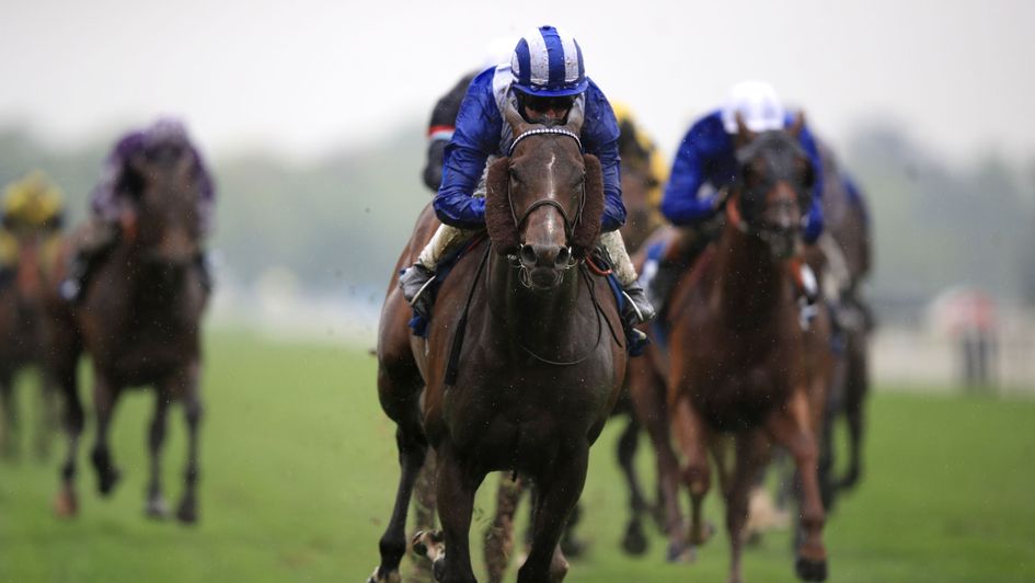 Tasleet slams his York rivals