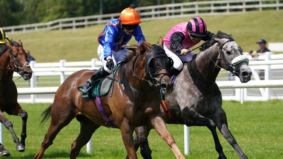 Mr Wagyu wins at the Curragh