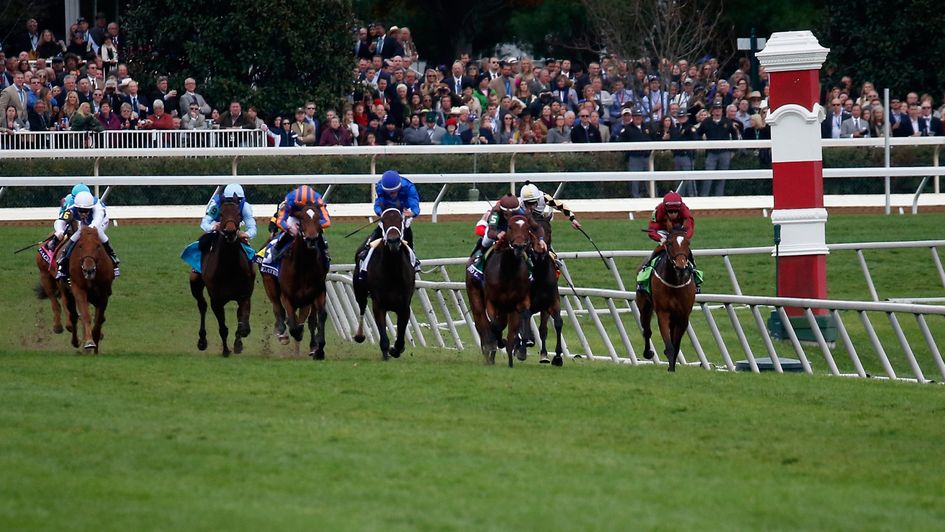 The Breeders' Cup is at Keeneland this weekend