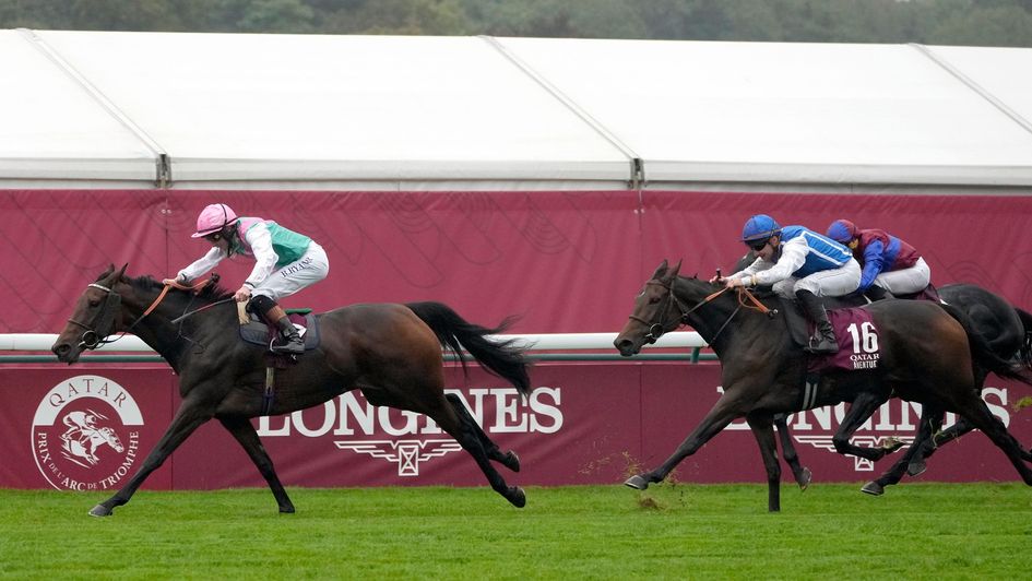 Aventure chased home Bluestocking in the 2024 Arc