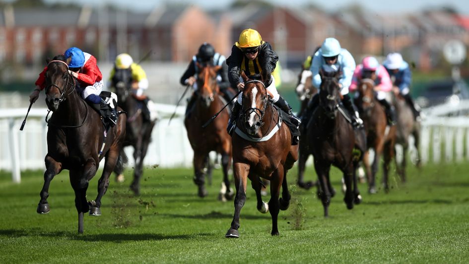 Whenthedealinsdone developed into a smart handicapper in 2021