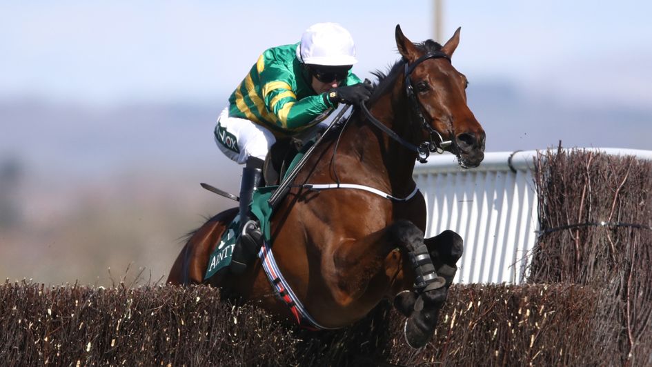 Mark Walsh riding Fakir D'oudairies