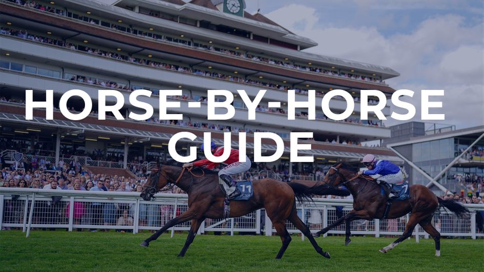 Big-race guide to Newbury contest