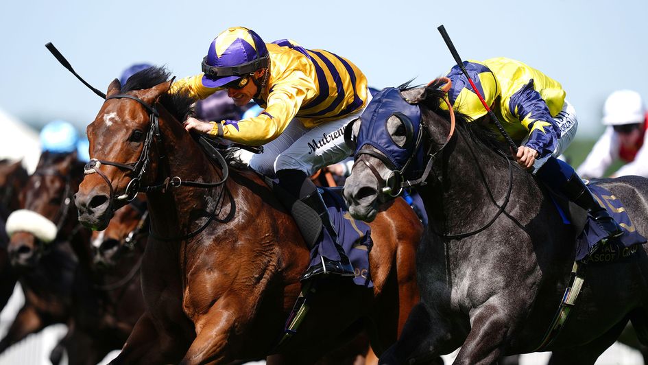 American Affair wins the King Charles III Stakes