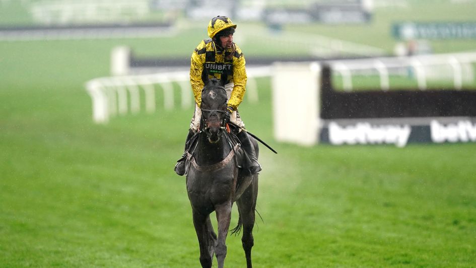 Shishkin: bone condition described as 'very mendable'