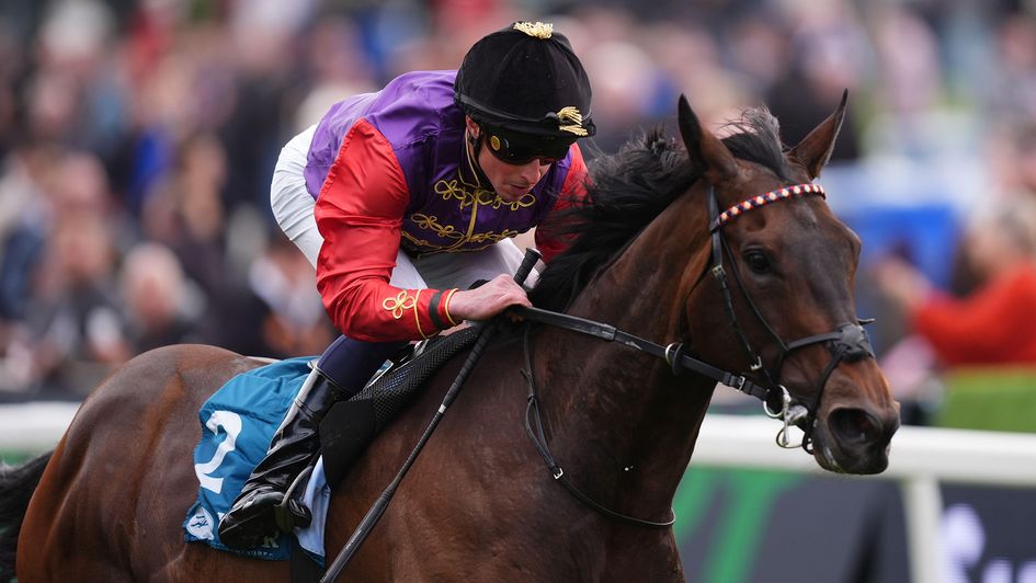 Warrant Holder at York