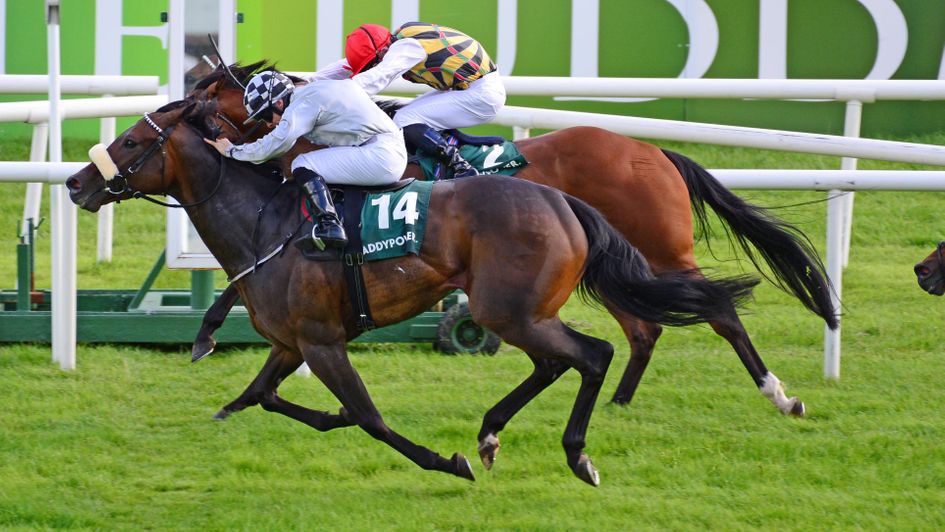 Romantic Proposal edges out Gulliver