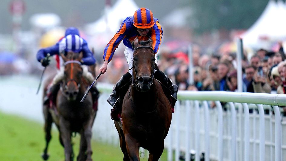 Paddington stamps his class on the Sussex Stakes